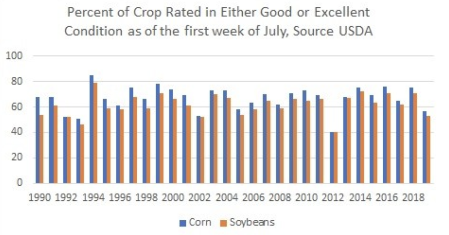 Corn & Soybean Crops Struggle