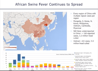 The Global Impact of African Swine Fever in China